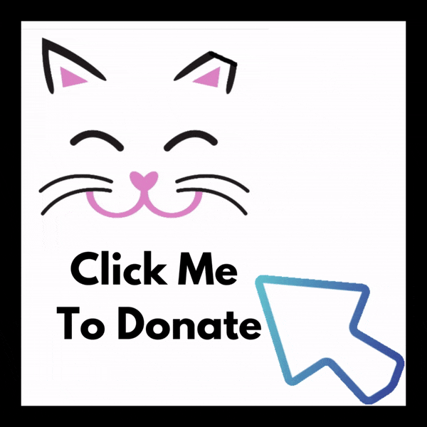 Donate Button Copy